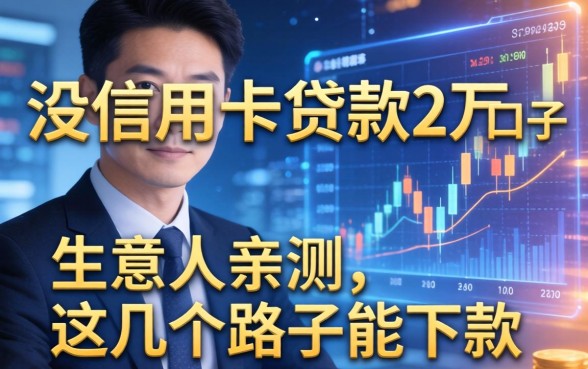 没信用卡贷款2万的口子：生意人亲测，这几个路子能下款