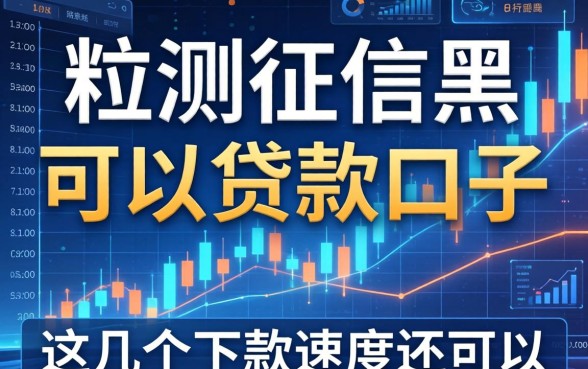 实测征信黑可以贷款的口子,这几个下款速度还可以