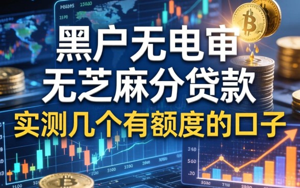 黑户无电审无芝麻分的贷款：实测几个有额度的口子