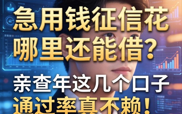 急用钱征信花哪里还能借？亲测2026年这几个口子通过率真不赖！