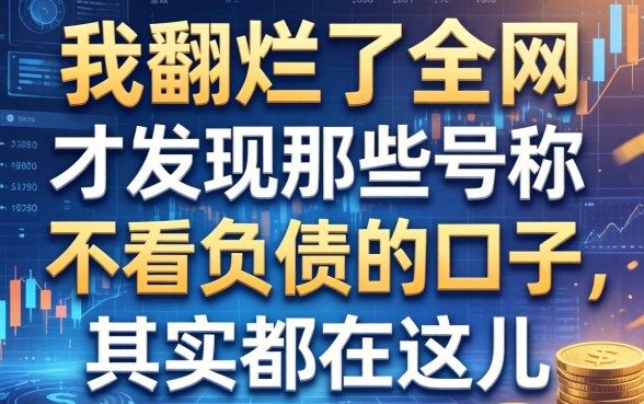 我翻烂了全网，才发现那些号称不看负债的口子，其实都在这儿