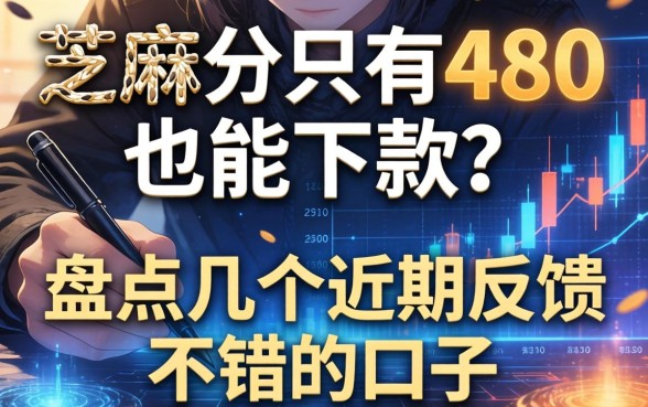 芝麻分只有480也能下款？盘点几个近期反馈不错的口子
