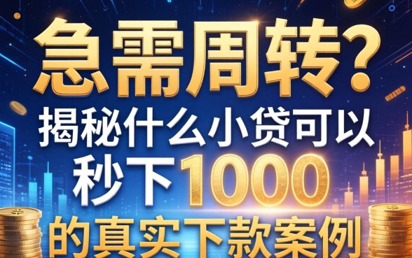 急需周转？揭秘什么小贷可以秒下1000的真实下款案例
