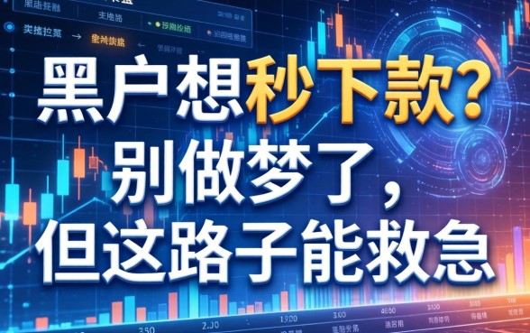 黑户想秒下款？别做梦了，但这路子能救急