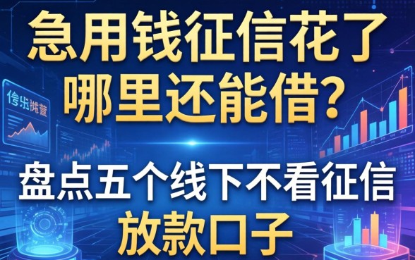急用钱征信花了哪里还能借？盘点五个线下不看征信的放款口子