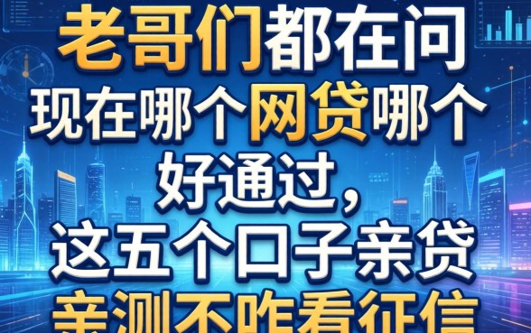 老哥们都在问现在哪个网贷哪个好通过，这五个口子亲测不咋看征信