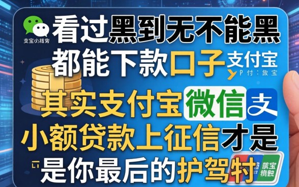 我看过黑到不能再黑都能下款的口子，其实支付宝微信小额贷款上征信才是你最后的护身符