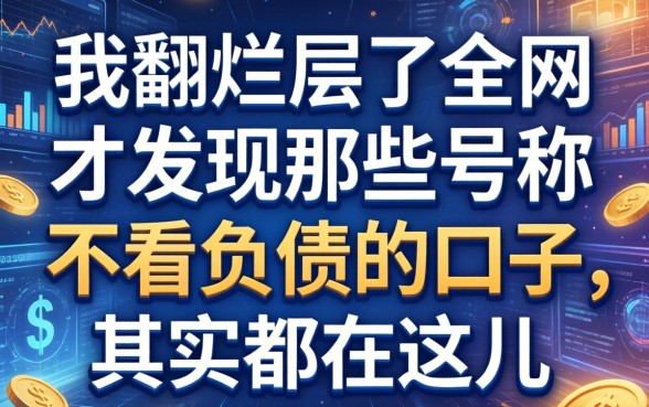 我翻烂了全网，才发现那些号称不看负债的口子，其实都在这儿