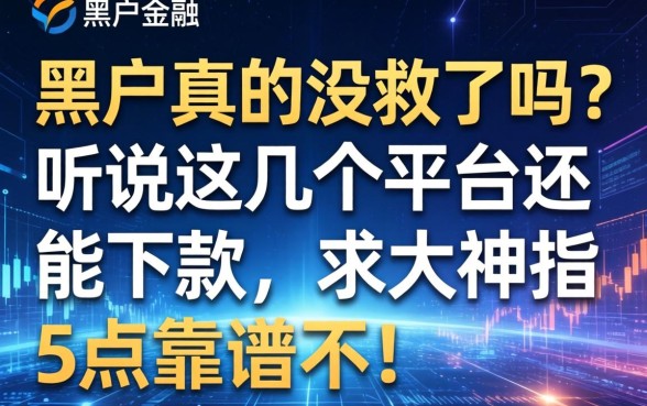 黑户真的没救了吗？听说这几个平台还能下款，求大神指点靠谱不！