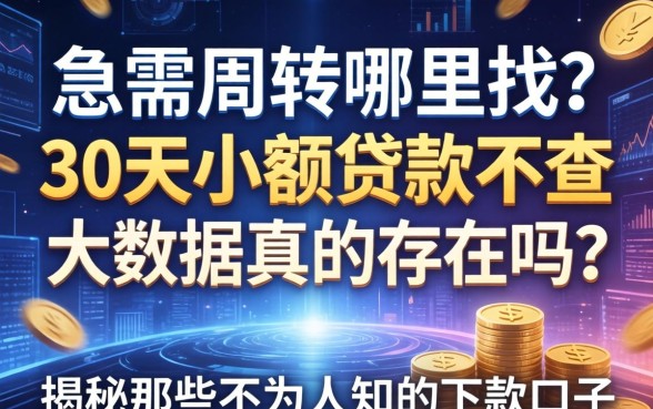急需周转哪里找？30天小额贷款不查大数据真的存在吗？揭秘那些不为人知的下款口子