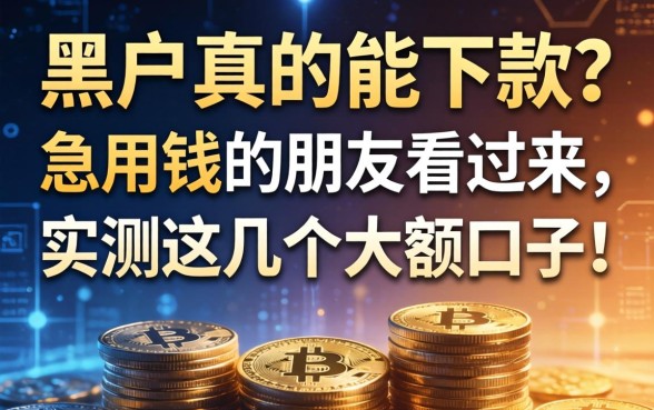 黑户真的能下款？急用钱的朋友看过来，实测这几个大额口子！