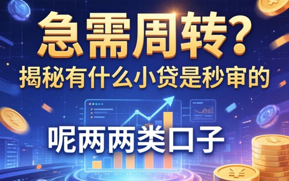 急需周转？揭秘有什么小贷是秒审的呢这两类口子