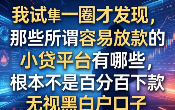 我试了一圈才发现，那些所谓容易放款的小贷平台有哪些，根本不是百分百下款无视黑白户口子
