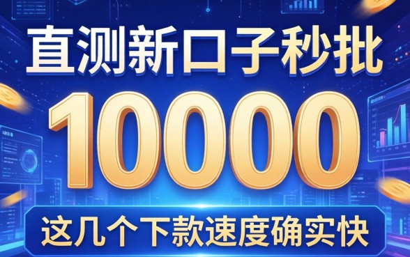 实测新口子秒批10000，这几个下款速度确实快