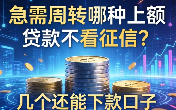 急需周转哪种小额贷款不看征信？整理了几个还能下款的口子