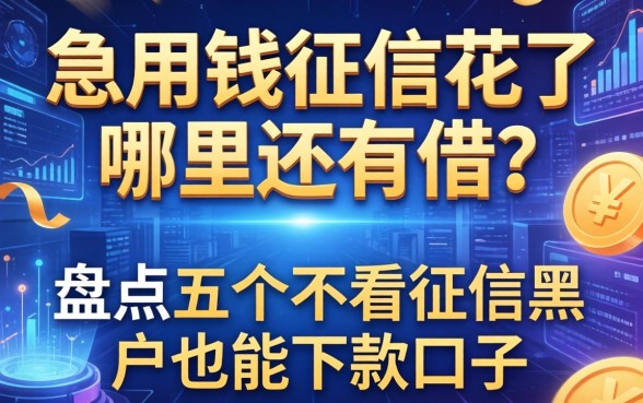 急用钱征信花了哪里还能借？盘点五个不看征信黑户也能下款的口子
