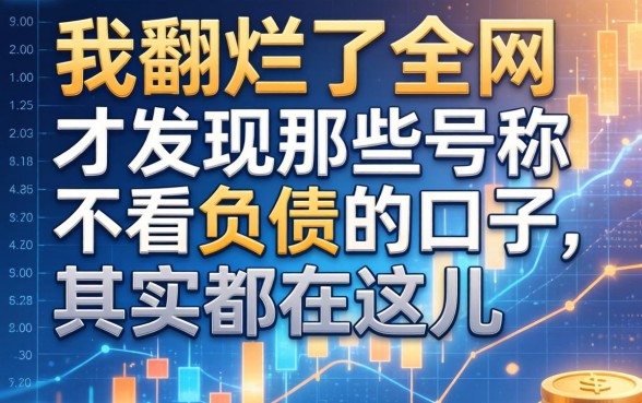 我翻烂了全网，才发现那些号称不看负债的口子，其实都在这儿
