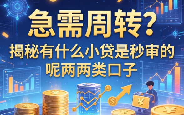 急需周转？揭秘有什么小贷是秒审的呢这两类口子