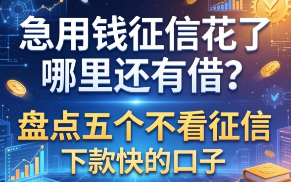 急用钱征信花了哪里还能借？盘点五个不看征信下款快的口子