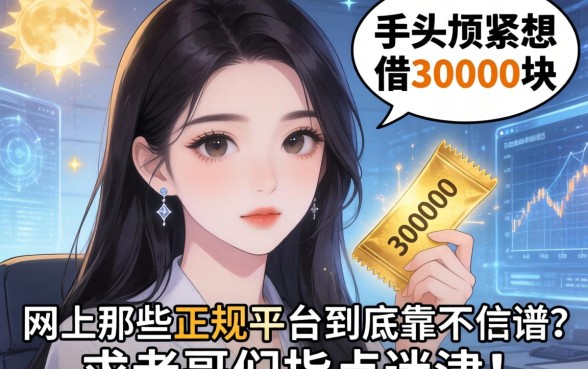 手头紧想借30000块，网上那些正规平台到底靠不靠谱？求老哥们指点迷津！