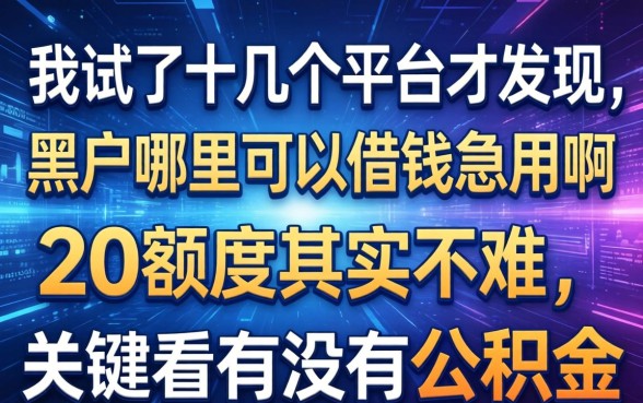 我试了十几个平台才发现，黑户哪里可以借钱急用啊2万额度其实不难，关键看有没有公积金