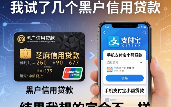 我试了几个黑户信用贷款芝麻信用贷款和手机支付宝小额贷款的app，结果和我想的完全不一样