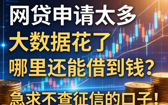 网贷申请太多大数据花了，哪里还能借到钱？急求不查征信的口子！