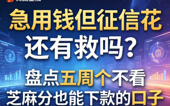 急用钱但征信花还有救吗？盘点五个不看芝麻分也能下款的口子