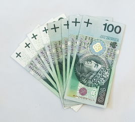 快速借款5000一分钟到账,试试看这十款征信花了哪里能借钱